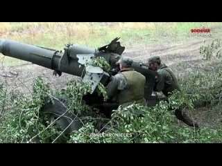 Старая добрая Д-20.Советской пушкой-гаубицей калибра 152 мм войска ДНР молотят по позициям украинских боевиков под Авдеевкой.