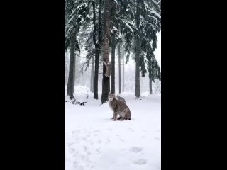 Видео от Игоря Хрусталёва