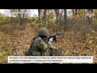 Мобилизованные пополнения “Отважных“ восстанавливают боевые навыки на российских полигонах