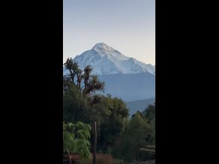 Конопляное поле в Непале и гора Дхаулагири