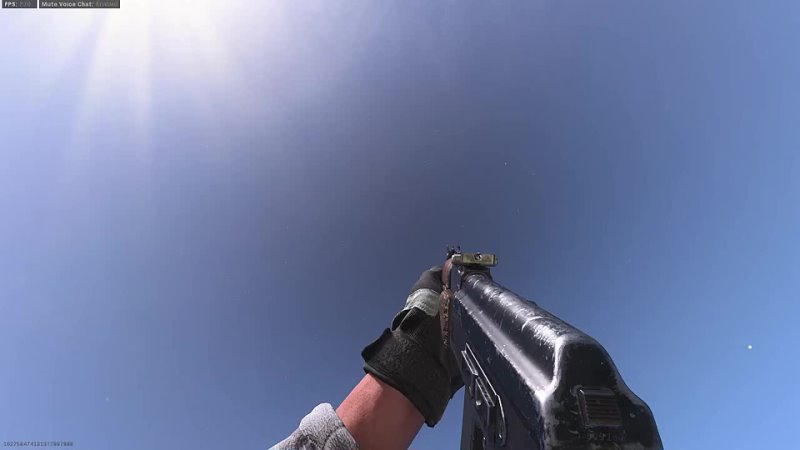 Mw2019 vs Mw2022 weapon inspect and reload animations