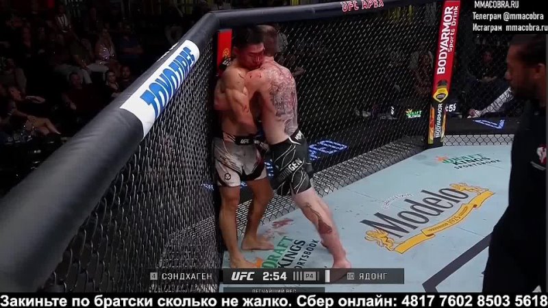 Hardcore MMA : Мохаммед «Персидский Дагестанец» Хейбати vs. Макс Дивнич 2
