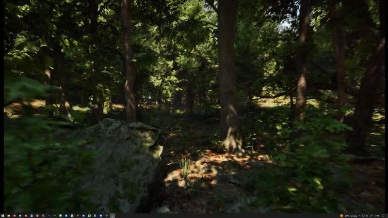 MAWI Broadleaf Forest   Unreal Engine 5   Roaming The Forest Daytime #unrealengine #UE5 #gamedev