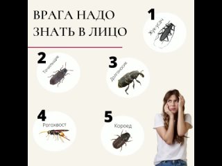 Врага надо знать в лицо!