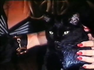 Два злобных глаза_Two Evil Eyes (1989) VHSRiP Перевод Юрий Живов