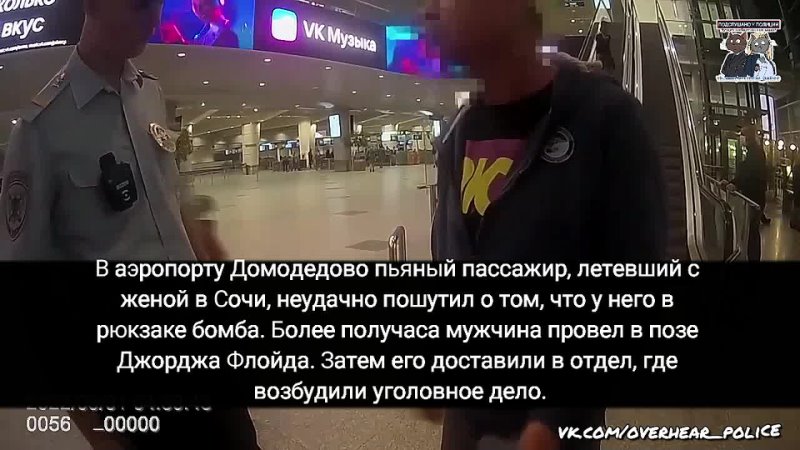 В московском аэропорту Домодедово пьяный пассажир,