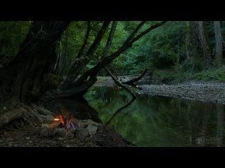 [TheSilentWatcher] 4K Campfire by the River - Relaxing Fireplace & Nature Sounds - Robin Birdsong  - UHD Video - 2160p