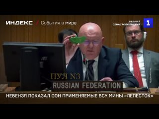Небензя показал ООН применяемые ВСУ мины «Лепесток»