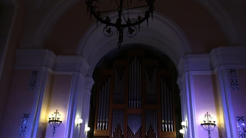 organ 