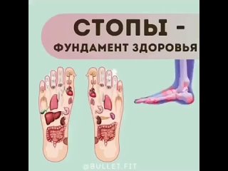 Стопы - фундамент здоровья