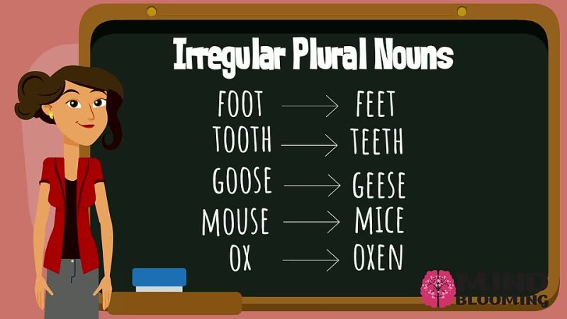 Irregular Plural