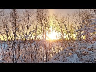 Семь футов на Севере!