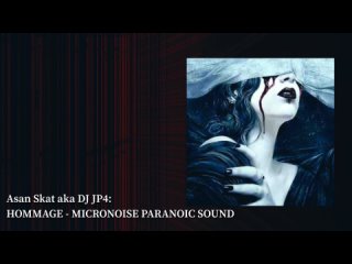 Asan Skat - Hommage: Micronoise Paranoic Sound