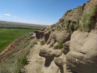 Памятник природы Букобайские яры в Оренбургской области