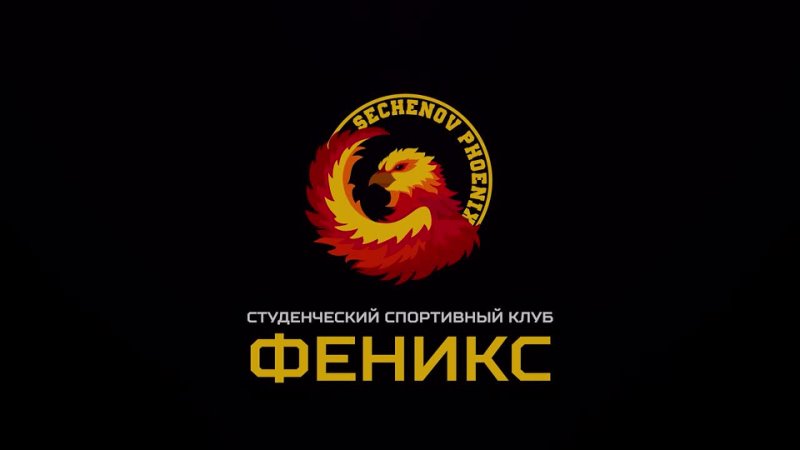 X Ежегодные международные соревнования Phoenix Challenge