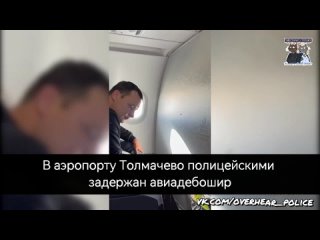 В аэропорту Толмачево полицейскими задержан авиадебошир