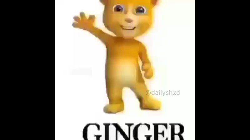 GINGER