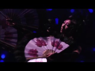 Ayumi Hamasaki PREMIUM COUNTDOWN LIVE 2008-2009 A