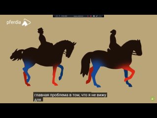 Обучение взгляду  распознавание обучения, подходящего для лошадей | Аня Беран | Трейлер