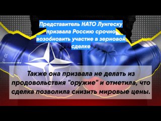 Представитель НАТО Лунгеску призвала Россию срочно возобновить участие в зерновой сделке