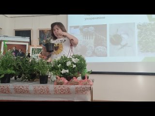 Лекция Елены Виноградовой «Как из 1 петуньи быстро получить 10»