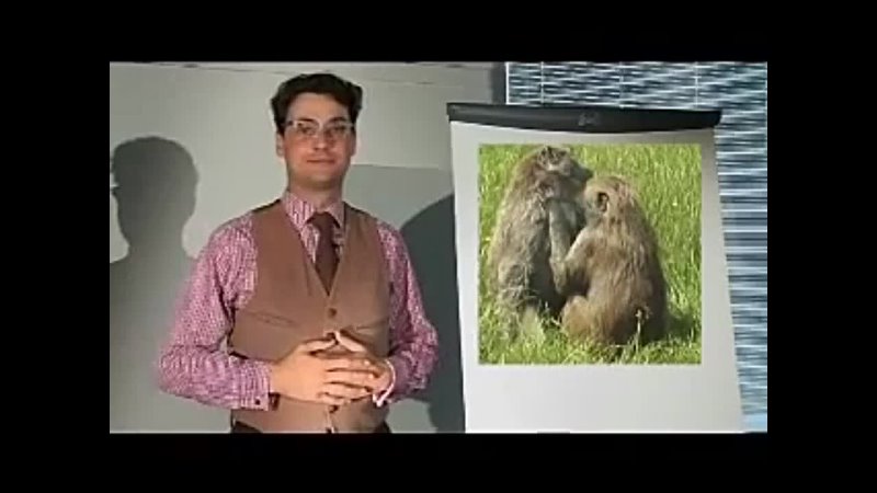 BBC the Teacher Monkey idioms (обезьяньи