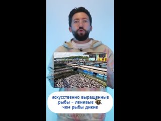 Видео от Зои Холоденко