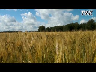 Фильм посвященный Дню сельского хозяйства 2022.