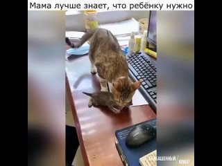 Мама лучше знает, что ребёнку нужно