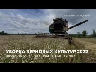 Уборка зерновых культур 2022