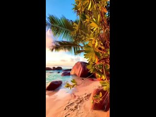 Secret beach of Seychelles
