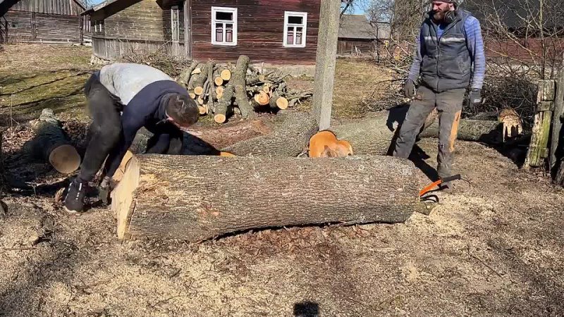 Logs to Lumber Alaskan Chainsaw