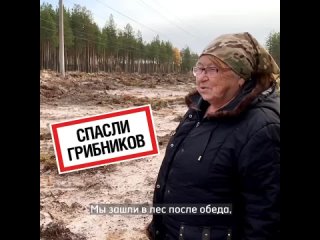 Энергетики спасли грибников