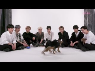 || interview || 221018 » Stray Kids » BuzzFeed » Stray Kids Play With Puppies While Answering Questions