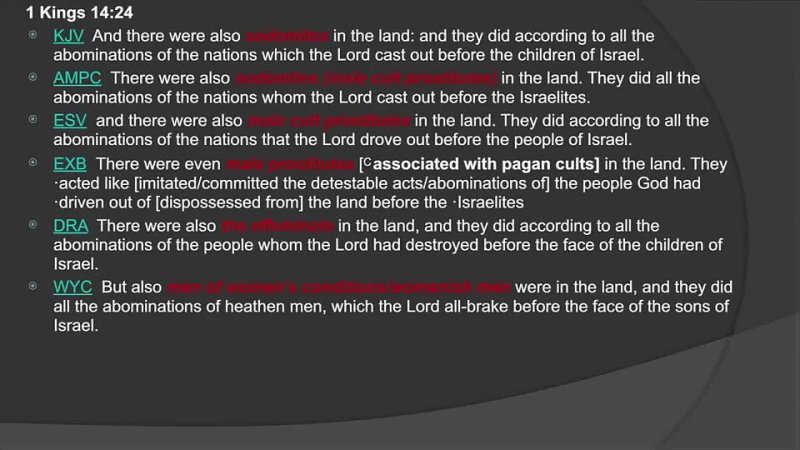 MrE095 Transpocalypse Origins - The Sodomites are Still in the Land