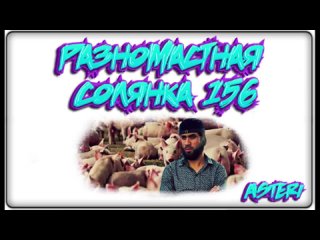 Asteri Pranks - Разномастная Солянка 156