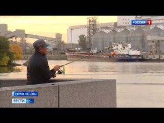 «Вести. Дон» 04.10.22 (выпуск 09:00)