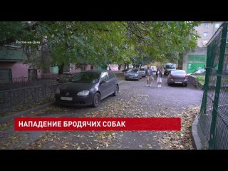 В Железнодорожном районе Ростова участились случаи нападения собак на людей