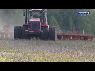 Рекордный урожай зерна собрали в Челябинской области