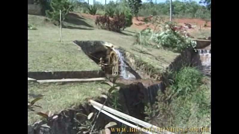 Ele Gosta Atrás - Brasileirinhas