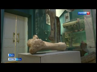 Коллекцию костей мамонта в Тульском краеведческом музее пополнил новый экспонат