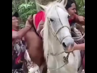 Бедная лошадь 🐴 🐎 🏇 ДАЖЕ ОБЕЗЬЯНА СМЕЁТСЯ  СМЕЮСЬ 😂 😂 😂 😂 😂