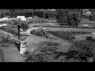 Dhadkane Lage Dil Ke Taron Ki Duniya _ Dhool Ka Phool (1959) _ Asha Bhosle _