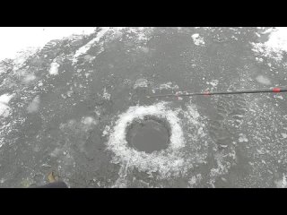 [Рыбалка с SIBIRYAK'ом'007] Первый лёд 2022-23! НА ГЛУБИНЕ 50 см КЛЮЁТ КРУПНЯК! Эффективная рыбалка в Ноябре