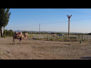 [DenvasTV] Внутренняя Монголия. Первые впечатления. Еда, развлечения, туризм в Хух-Хото и Баян-Нур