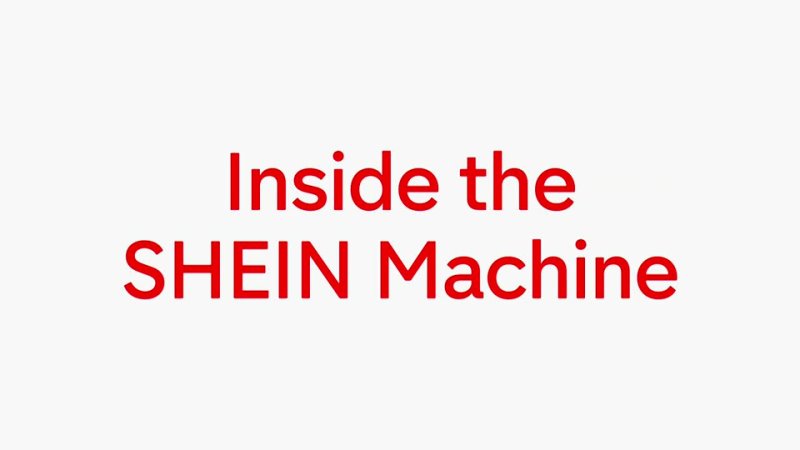 Inside the Shein Machine