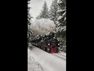 Видео от Т/К “ СЕДЬМОЙ КОНТИНЕНТ “