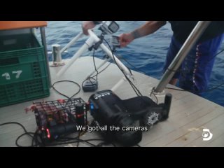 Tiger Sharks Surround Divers _ Shark Week