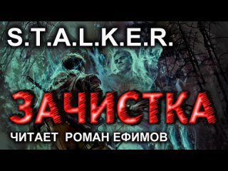 S.T.A.L.K.E.R. Зачистка (аудиокнига). Алексей Гравицкий.