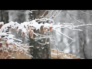 Усиление ветра до 20 м/с и налипание мокрого снега ожидается в Луганске и местами по территории Республики ночью и утром 14 дека